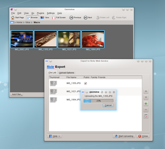 With Gwenview you can easily share your pictures on the web using your favourite picture service